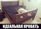 Прикрепленное изображение: Идеальная кровать Piv8gVZ2_PI.jpg
