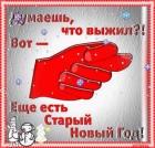 Прикрепленное изображение: ImageUploadedByTapatalk1451769389.747246.jpg