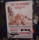 Прикрепленное изображение: wU6yDlaLyzA.jpg