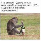 Прикрепленное изображение: IMG_1396.JPG