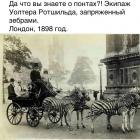 Прикрепленное изображение: A57msa6z9dk.jpg