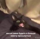 Прикрепленное изображение: Хватит меня будить - я больше не хочу просыпаться.jpg