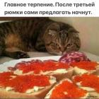 Прикрепленное изображение: 1704184018.jpg