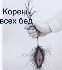 Прикрепленное изображение: Корень всех бед.jpg