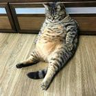 Прикрепленное изображение: IMG_20250105_164309_228.jpg