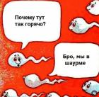 Прикрепленное изображение: IMG_1906.jpeg