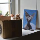 Прикрепленное изображение: IMG_20250128_225347.jpg