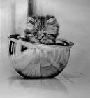 Прикрепленное изображение: HAF7MWcK6zQGQIl1giR7cTZ3BGCIZ0A.jpg