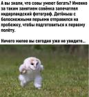 Прикрепленное изображение: 1768555232.jpg