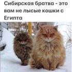 Прикрепленное изображение: 1766909033.jpg