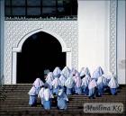 Прикрепленное изображение: ______.jpg