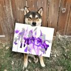 Прикрепленное изображение: 92686231_original.jpg