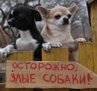 Прикрепленное изображение: 1739828508.jpg