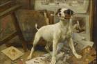 Прикрепленное изображение: Верные четвероногие друзья_ Портреты братьев наших меньших в мировой живописи_07.jpg