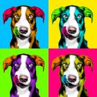 Прикрепленное изображение: b1dbd469c4d4eb1b1a910bdf6349fe44.jpg