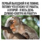 Прикрепленное изображение: Первый выходной.jpg