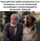 Прикрепленное изображение: 595759503230.jpg