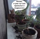 Прикрепленное изображение: 1770021282.jpg