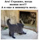 Прикрепленное изображение: 1768273509.jpg