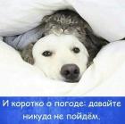 Прикрепленное изображение: voskresene_14333.jpg