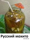 Прикрепленное изображение: Русский мохито.jpg