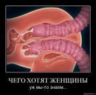 Прикрепленное изображение: 89497.jpg