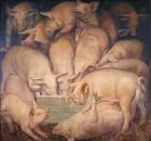 Прикрепленное изображение: image.jpg