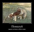 Прикрепленное изображение: 2252d0605fec2f9aca51382240989029.jpg