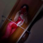 Прикрепленное изображение: adel3.jpg