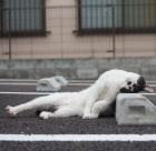 Прикрепленное изображение: Wj3xILyMCuw.jpg