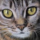 Прикрепленное изображение: fotor_2023-3-14_13_59_15.jpg