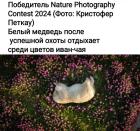 Прикрепленное изображение: 1741466935.jpg