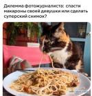 Прикрепленное изображение: Дилемма фотожурналиста.jpg