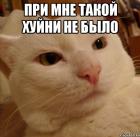 Прикрепленное изображение: derzkij-kote_53965076_orig_.jpg