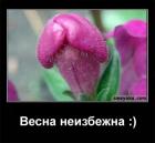 Прикрепленное изображение: image.jpeg