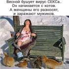 Прикрепленное изображение: image.jpeg