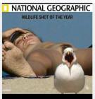 Прикрепленное изображение: b017ea8b3b3cec2090cd4f837996556c.jpg