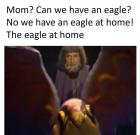 Прикрепленное изображение: orly.jpg