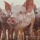 Прикрепленное изображение: Paisley,+16x16.jpg