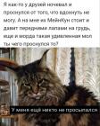 Прикрепленное изображение: мЕЙНКУН.jpg