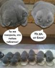Прикрепленное изображение: tabletki-da-ne-te_42556.jpg