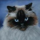 Прикрепленное изображение: C0bAR2JbcV4.jpg