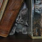 Прикрепленное изображение: AwVzR_fgQ5Y.jpg