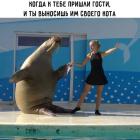 Прикрепленное изображение: 1743484328.jpg