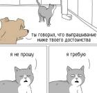 Прикрепленное изображение: Выпрашивание.jpg