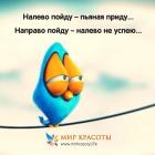 Прикрепленное изображение: IMG_1667.JPG