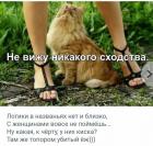 Прикрепленное изображение: image.jpeg