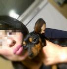 Прикрепленное изображение: image1554153593.jpg