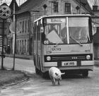 Прикрепленное изображение: IMG_20240507_121119_812.jpg