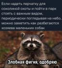 Прикрепленное изображение: 1715679410.jpg